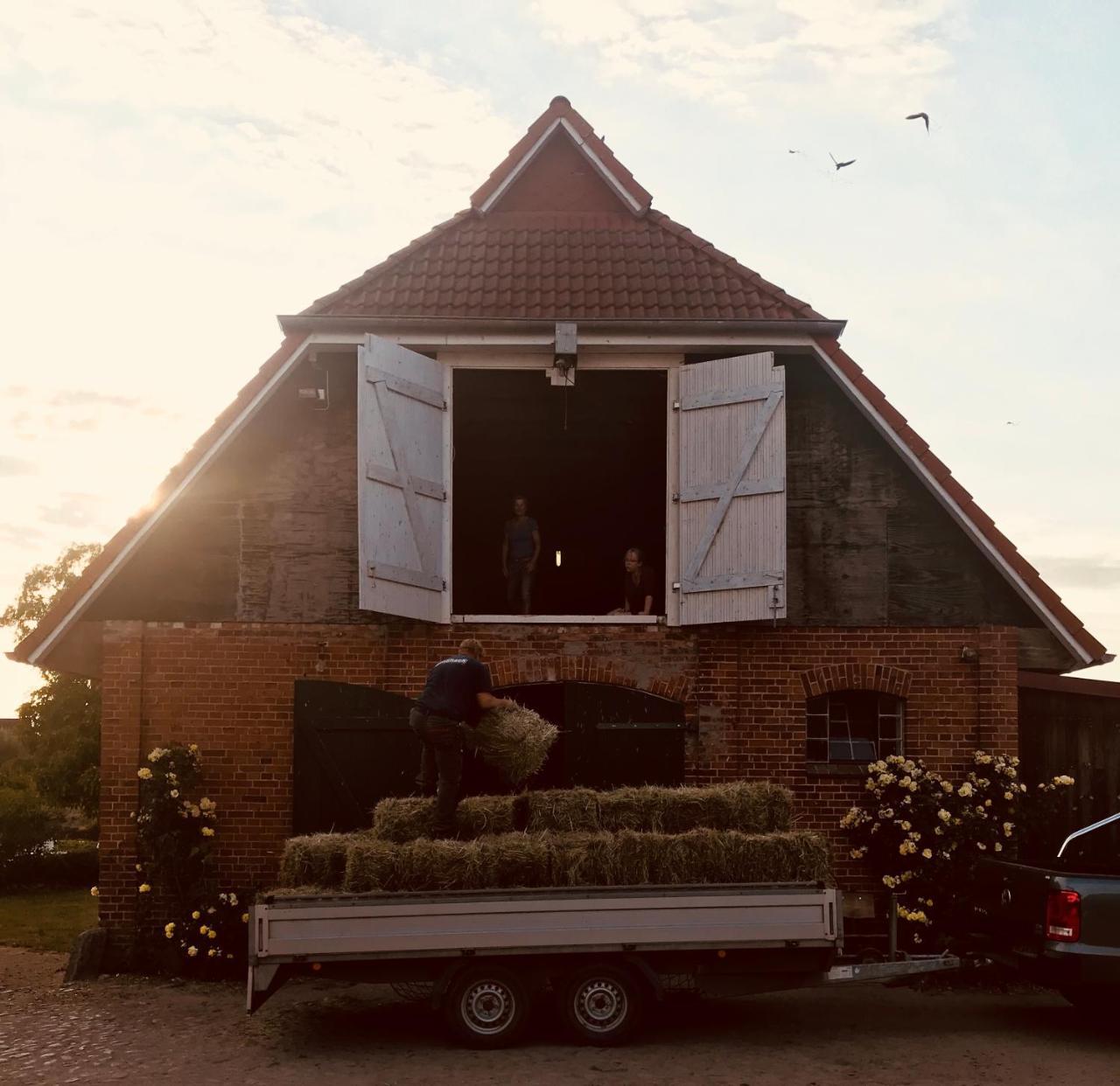Ferienanlage Gutshaus Gramkow Eksteriør billede